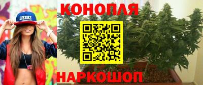 стафф Можга
