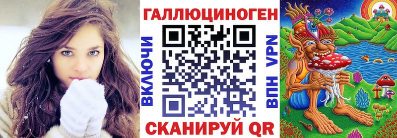 где купить наркотик  Новый Уренгой  Псилоцибиновые грибы прущие грибы 