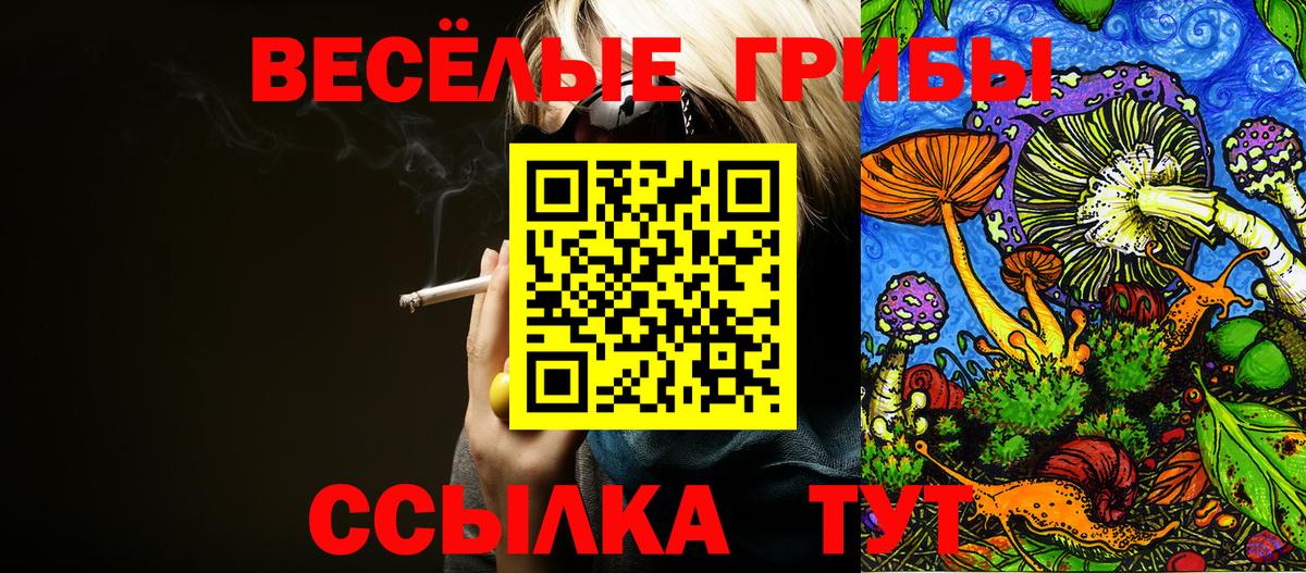 Галлюциногенные грибы Psilocybe  Псилоцибиновые грибы Psilocybine cubensis  купить наркотики цена  Вход с VPN  Новый Уренгой 