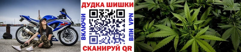 Бошки марихуана White Widow  где купить наркотик  Новый Уренгой 